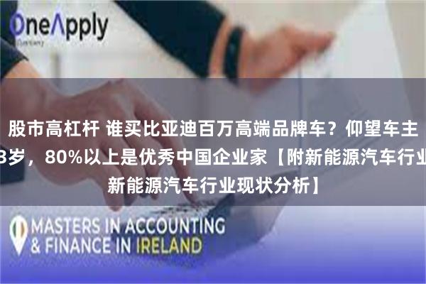 股市高杠杆 谁买比亚迪百万高端品牌车？仰望车主平均年龄43岁，80%以上是优秀中国企业家【附新能源汽车行业现状分析】