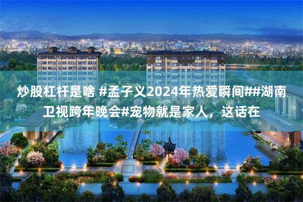 炒股杠杆是啥 #孟子义2024年热爱瞬间##湖南卫视跨年晚会#宠物就是家人，这话在