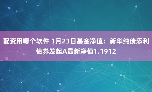 配资用哪个软件 1月23日基金净值：新华纯债添利债券发起A最新净值1.1912