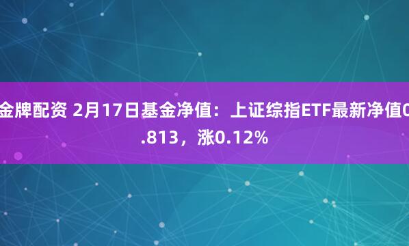 金牌配资 2月17日基金净值：上证综指ETF最新净值0.813，涨0.12%